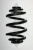 SPIDAN 56922 Coil Spring